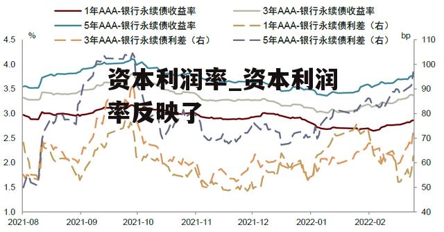 资本利润率_资本利润率反映了