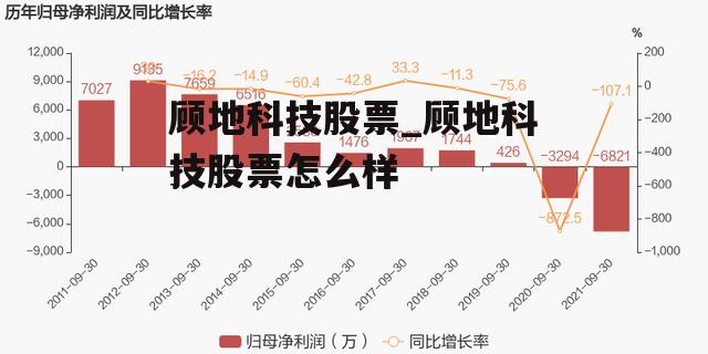 顾地科技股票_顾地科技股票怎么样