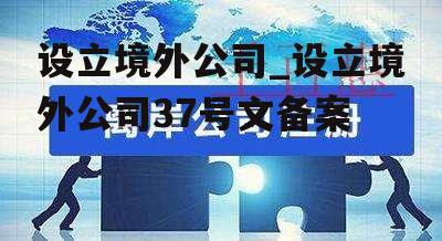 设立境外公司_设立境外公司37号文备案