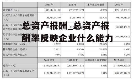 总资产报酬_总资产报酬率反映企业什么能力