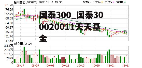 国泰300_国泰300020011天天基金