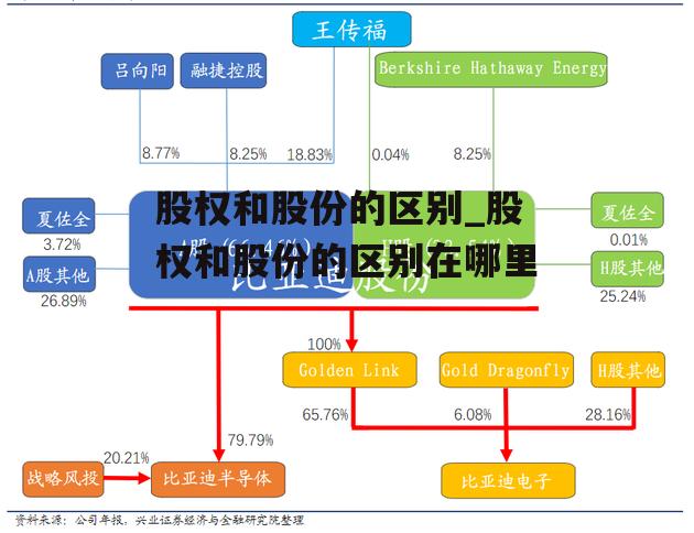 股权和股份的区别_股权和股份的区别在哪里