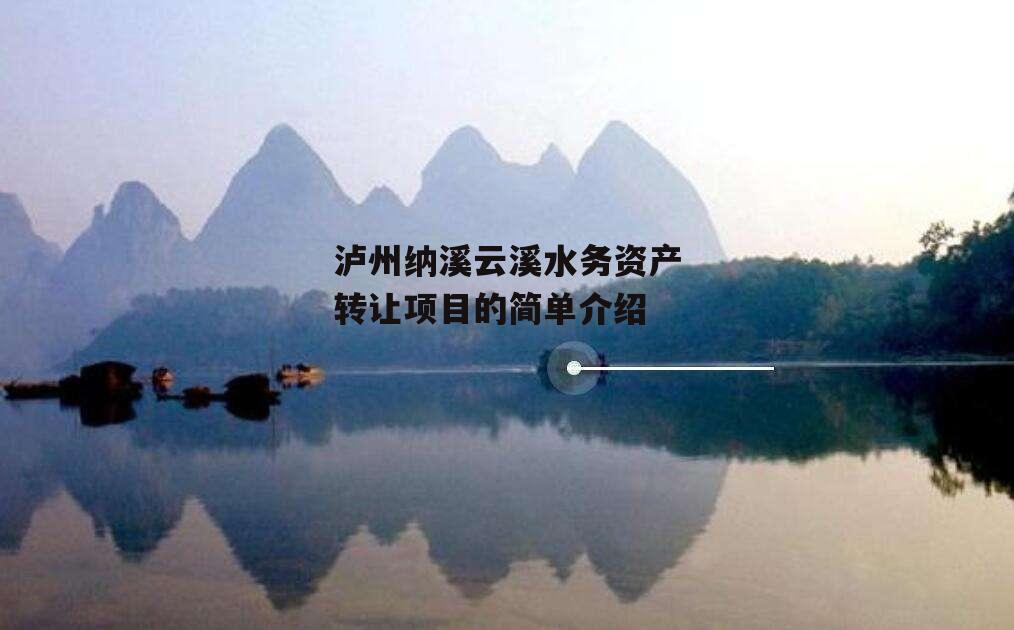 泸州纳溪云溪水务资产转让项目的简单介绍