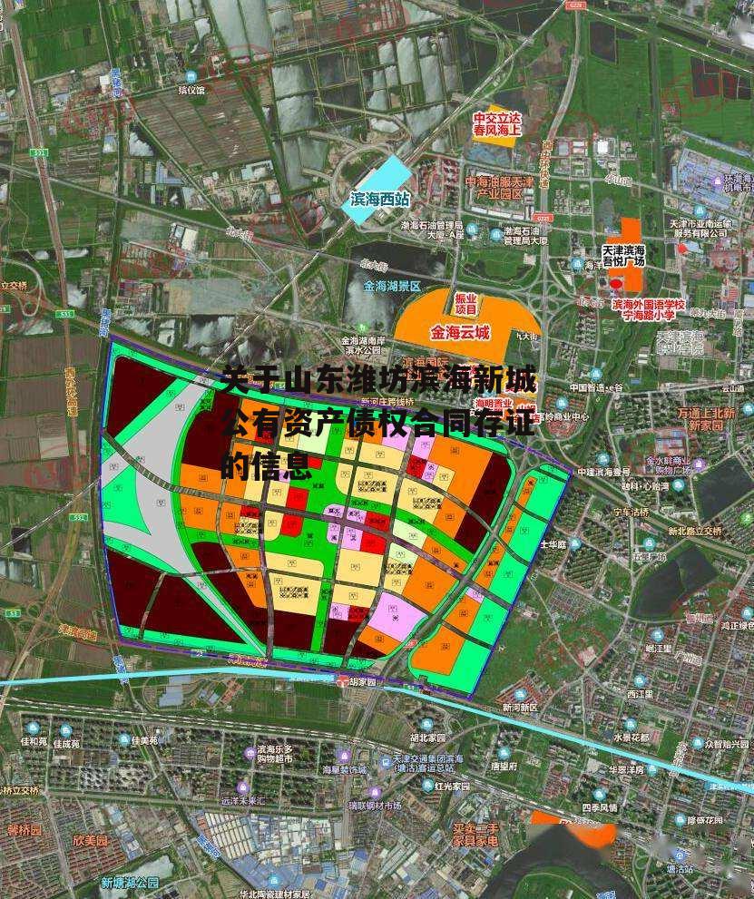 关于山东潍坊滨海新城公有资产债权合同存证的信息