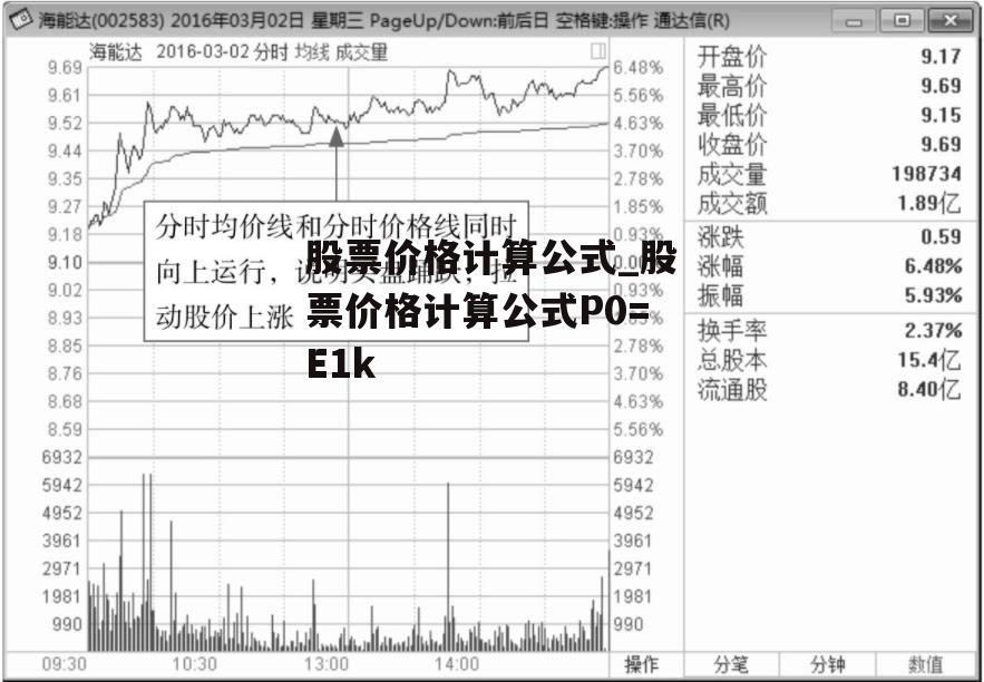 股票价格计算公式_股票价格计算公式P0=E1k