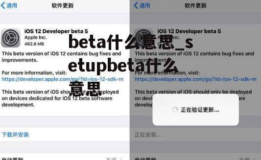 beta什么意思_setupbeta什么意思