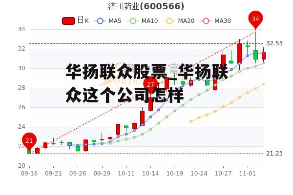 华扬联众股票_华扬联众这个公司怎样