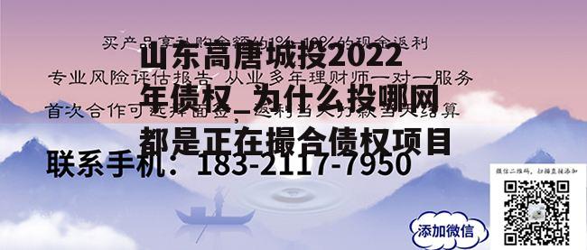 山东高唐城投2022年债权_为什么投哪网都是正在撮合债权项目