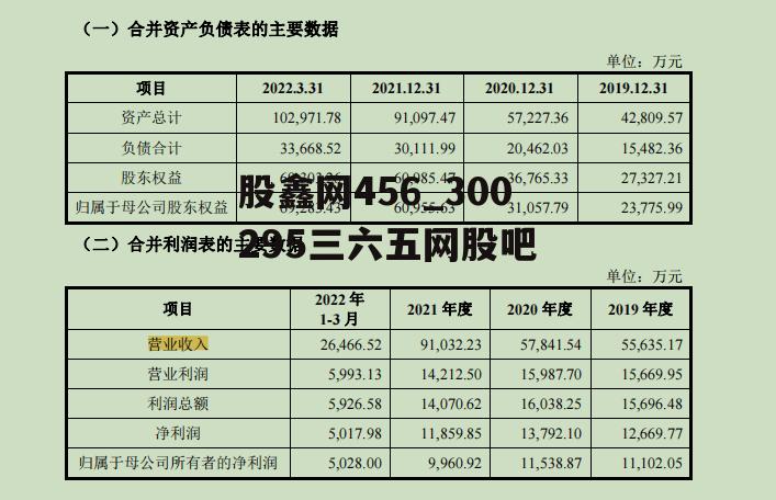 股鑫网456_300295三六五网股吧