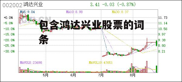 包含鸿达兴业股票的词条