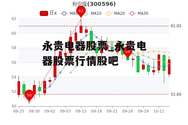 永贵电器股票_永贵电器股票行情股吧