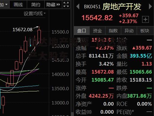 信达地产股票_信达地产大股东