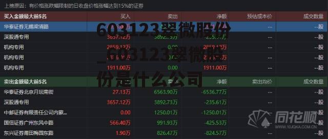 603123翠微股份_603123翠微股份是什么公司