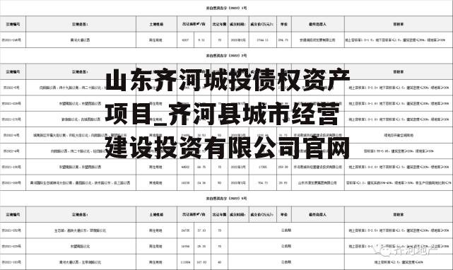 山东齐河城投债权资产项目_齐河县城市经营建设投资有限公司官网