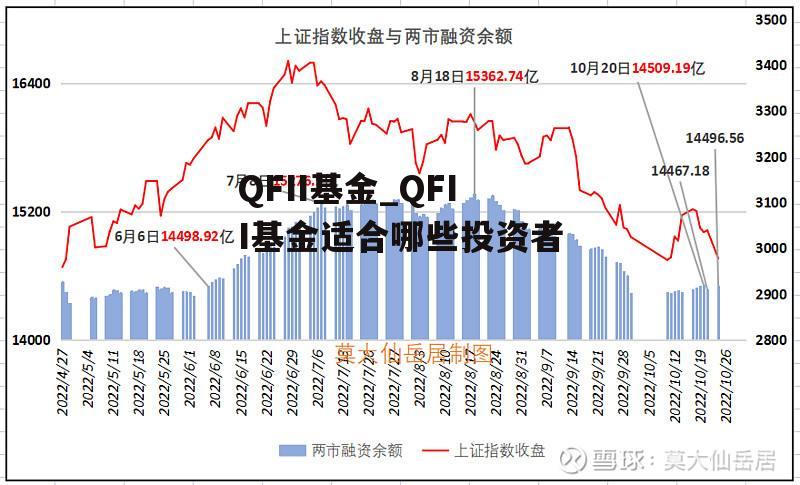 QFII基金_QFII基金适合哪些投资者