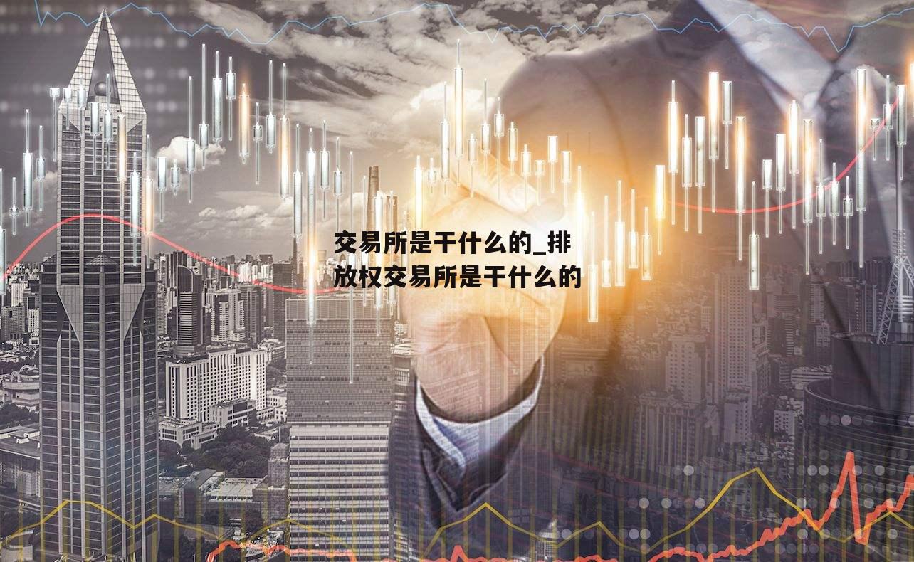 交易所是干什么的_排放权交易所是干什么的