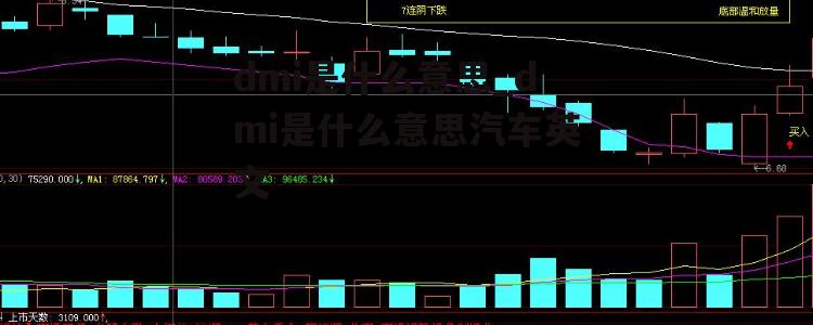 dmi是什么意思_dmi是什么意思汽车英文