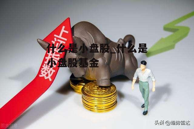 什么是小盘股_什么是小盘股基金