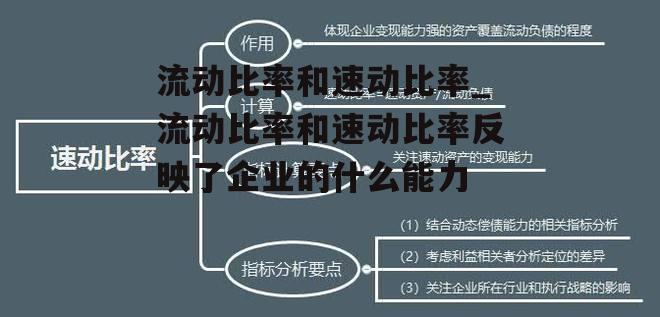 流动比率和速动比率_流动比率和速动比率反映了企业的什么能力