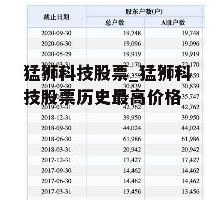 猛狮科技股票_猛狮科技股票历史最高价格