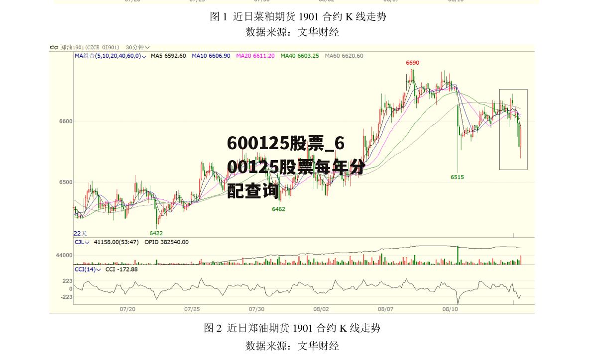 600125股票_600125股票每年分配查询