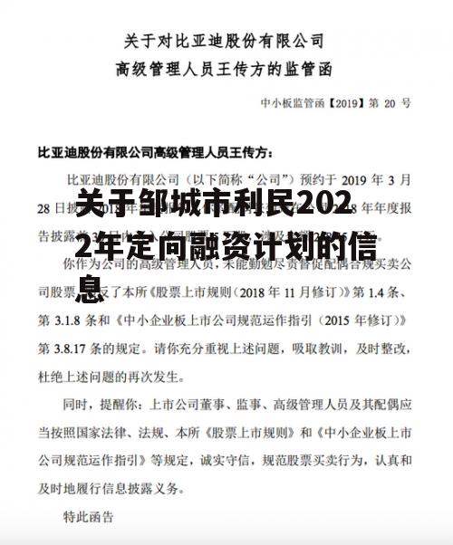 关于邹城市利民2022年定向融资计划的信息