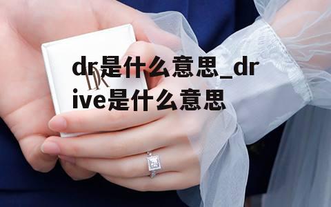 dr是什么意思_drive是什么意思