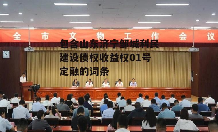 包含山东济宁邹城利民建设债权收益权01号定融的词条