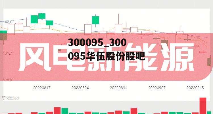 300095_300095华伍股份股吧