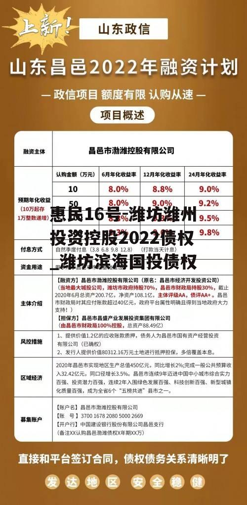 惠民16号-潍坊潍州投资控股2022债权_潍坊滨海国投债权