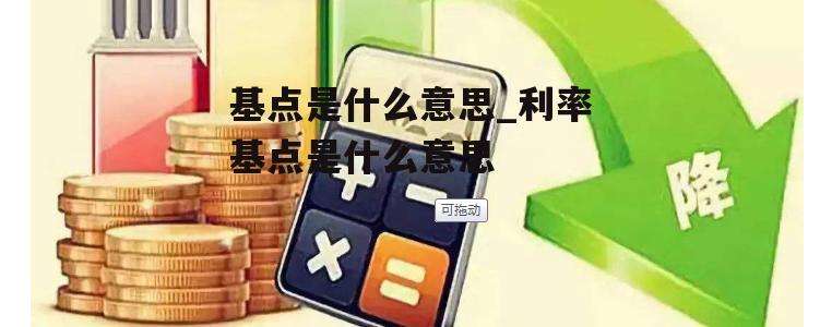 基点是什么意思_利率基点是什么意思