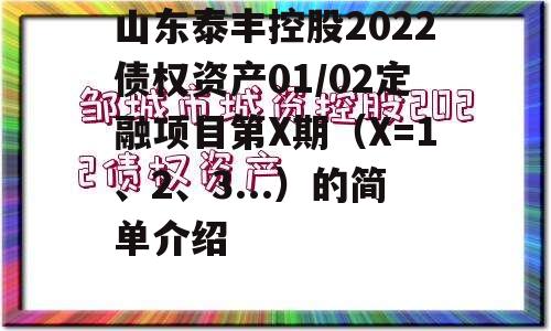 山东泰丰控股2022债权资产01/02定融项目第X期（X=1、2、3...）的简单介绍