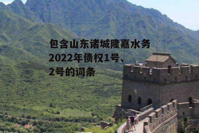 包含山东诸城隆嘉水务2022年债权1号、2号的词条