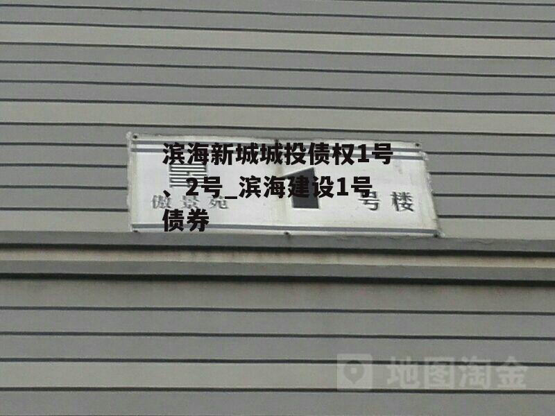 滨海新城城投债权1号、2号_滨海建设1号债券