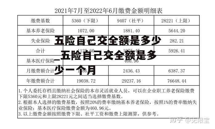 五险自己交全额是多少_五险自己交全额是多少一个月