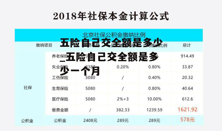 五险自己交全额是多少_五险自己交全额是多少一个月