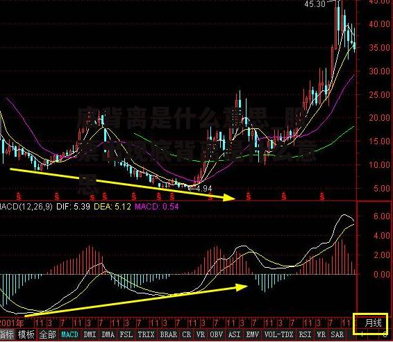 底背离是什么意思_股票出现底背离是什么意思