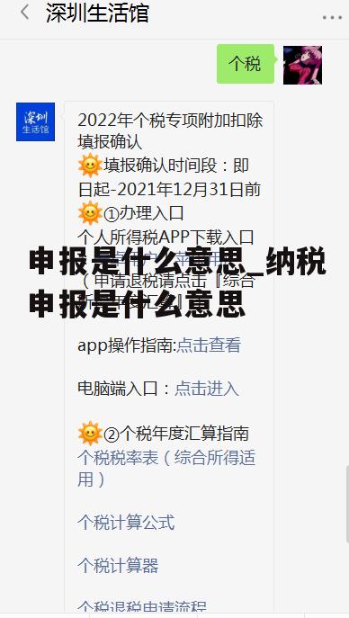 申报是什么意思_纳税申报是什么意思