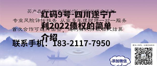 红码9号-四川遂宁广利2022债权的简单介绍