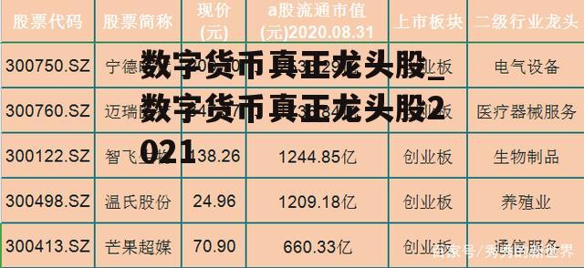 数字货币真正龙头股_数字货币真正龙头股2021