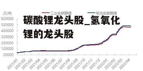 碳酸锂龙头股_氢氧化锂的龙头股