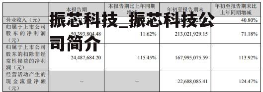 振芯科技_振芯科技公司简介