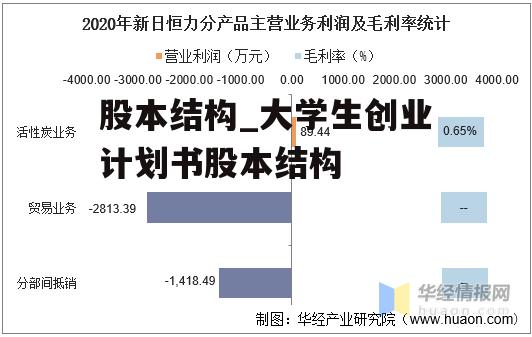 股本结构_大学生创业计划书股本结构
