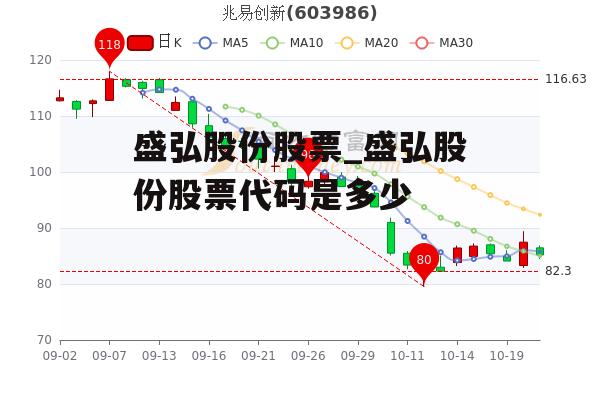 盛弘股份股票_盛弘股份股票代码是多少