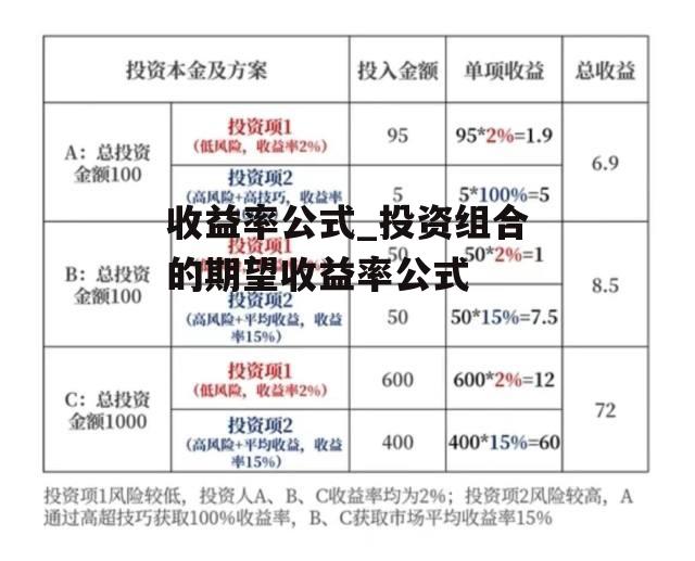 收益率公式_投资组合的期望收益率公式