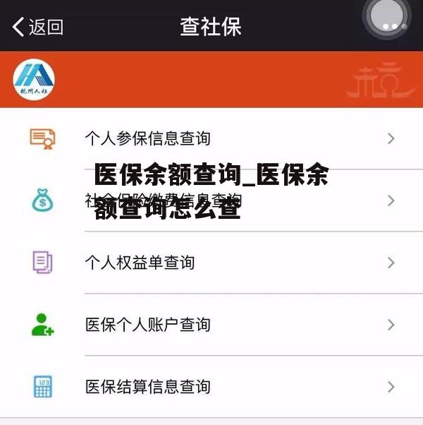 医保余额查询_医保余额查询怎么查