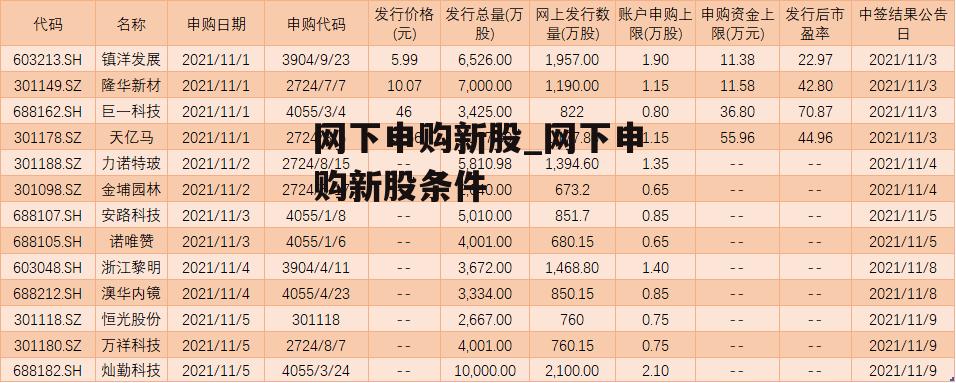 网下申购新股_网下申购新股条件