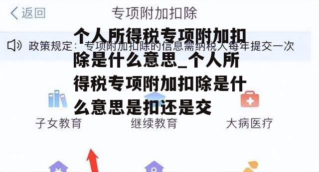 个人所得税专项附加扣除是什么意思_个人所得税专项附加扣除是什么意思是扣还是交