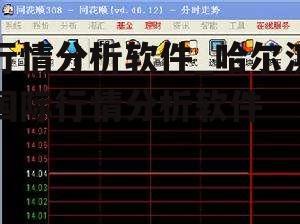 行情分析软件_哈尔滨国际行情分析软件