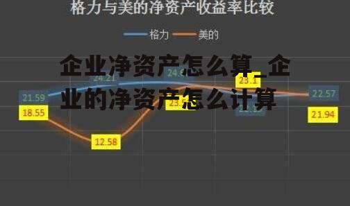 企业净资产怎么算_企业的净资产怎么计算